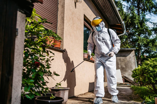 Best Local Pest Control Services  in Lincoln, NE