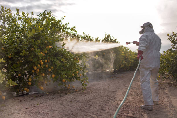 Best Best Pest Control Companies  in Lincoln, NE