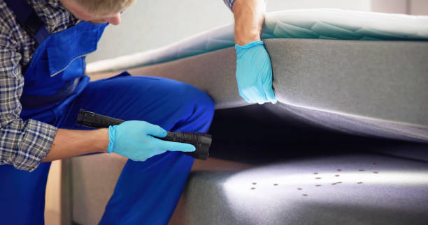 Best Affordable Pest Control Services  in Lincoln, NE