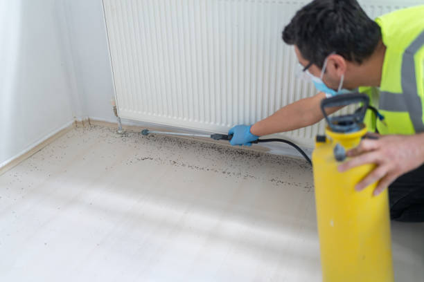Best Affordable Pest Control Services  in Lincoln, NE